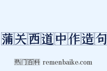 蒲关西道中作造句是什么意思的图片
